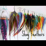 ShayFeathers 