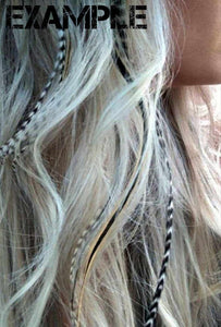 Clip-in Feather Hair Extension 13" long