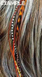 Clip-in Feather Hair Extension 6" long