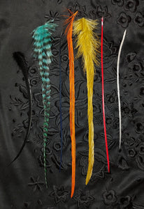 DIY Feather Extension (feathers only) 7 feathers up to 10" long