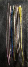 Load image into Gallery viewer, DIY Feather Extension (feathers only) 10 feathers up to 12&quot; long #2-019